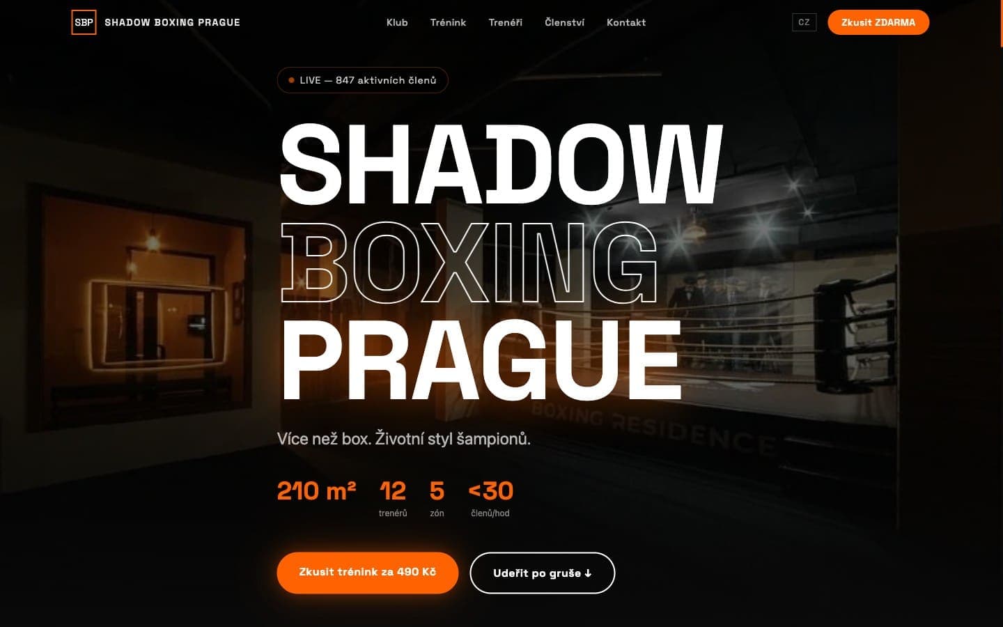 Fitness — náhled webu shadowboxing.cz